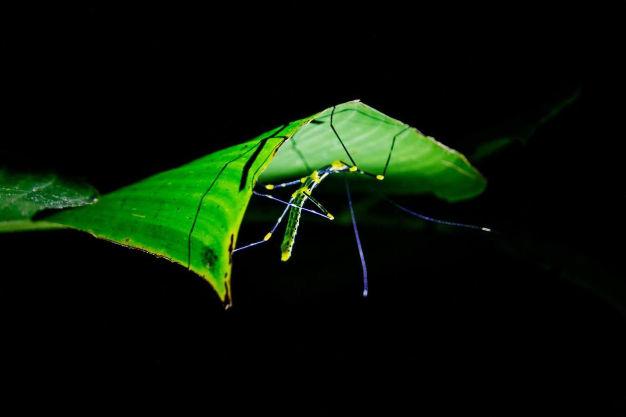 Kuyana Amazon Lodge Archidona Bagian luar foto