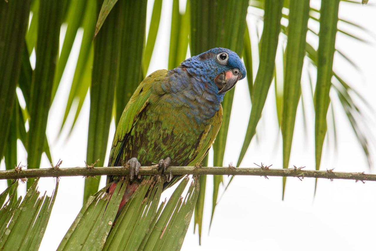 Kuyana Amazon Lodge Archidona Bagian luar foto