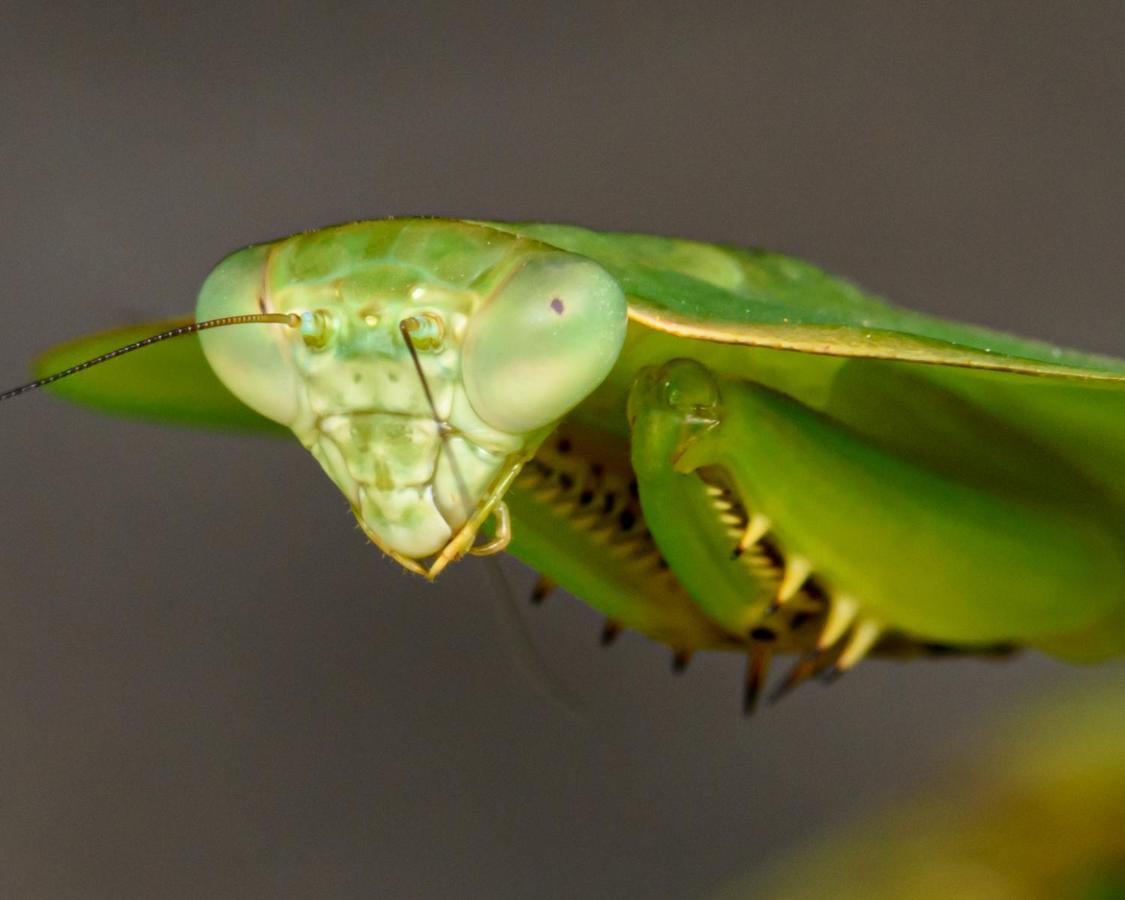 Kuyana Amazon Lodge Archidona Bagian luar foto