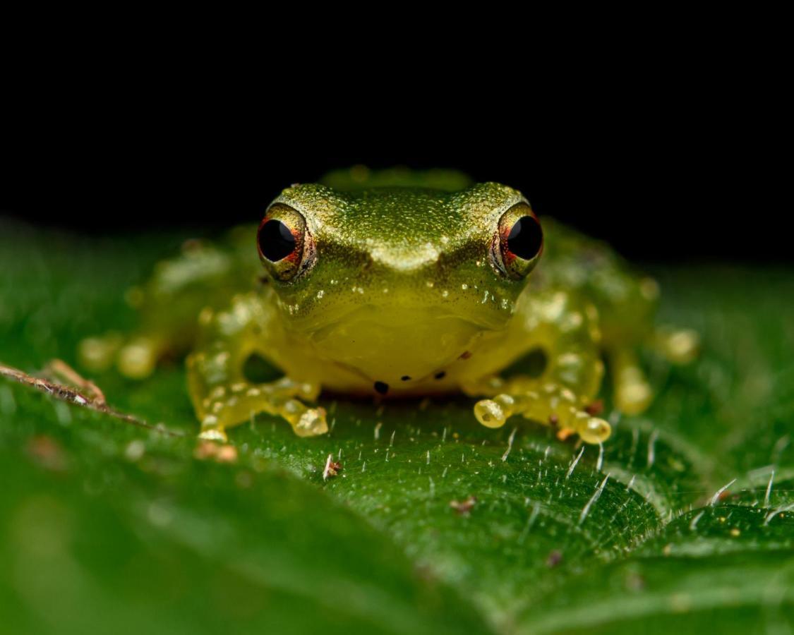 Kuyana Amazon Lodge Archidona Bagian luar foto